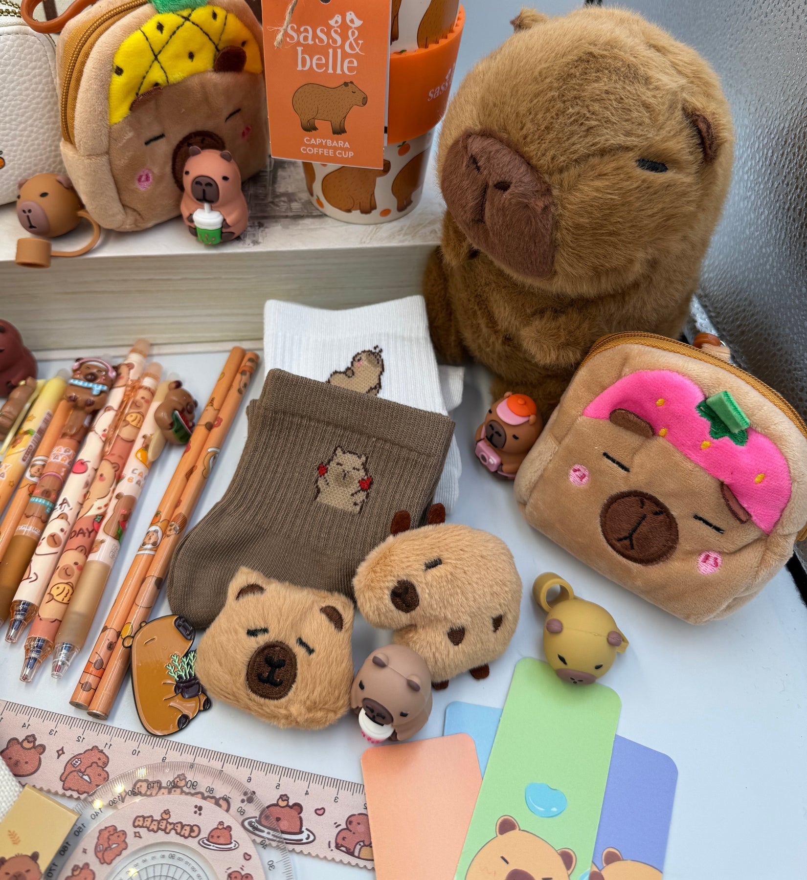 Capybara Compass Set Capybara Craze Bundle – Limited Edition Gift & Stationery Set – Sage ...